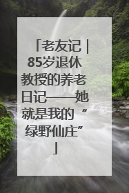 老友记｜85岁退休教授的养老日记——她就是我的“绿野仙庄”